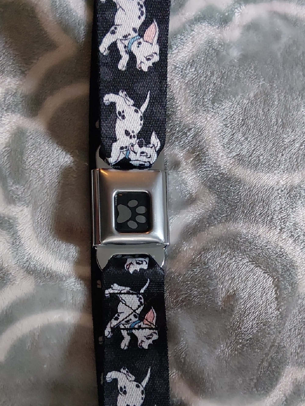 Buckle-Down Black Dalmatian Paw Print Seatbelt-Style Belt